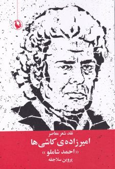 امیرزاده ی کاشی ها