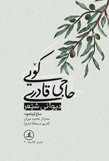 حاجی قادری کویی