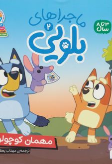 ماجراهای بلویی 2