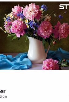 پازل شیشه‌ای استینو 260 تکه طرح گل (کد 16101)