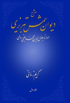 شرح دیوان شمس تبریزی - جلد اول