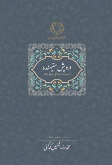 درویش ستیهنده