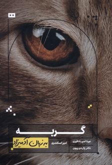گربه