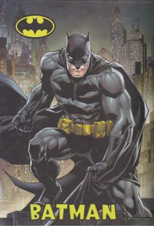 دفتر یادداشت 100 برگ رقعی جلدسخت سری هیرو (دموت) بتمن