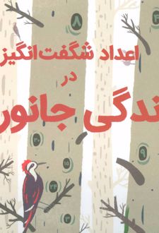 اعداد شگفت انگیز در زندگی جانوران (زرکوب)