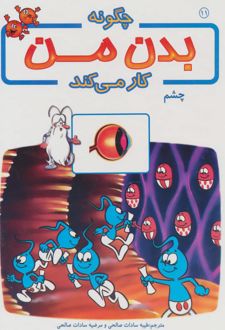 چگونه بدن من کار می کند 11