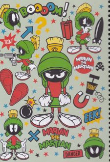 دفتر 100 برگ School وزیری جلدسخت لونی (لانگو) سبز