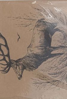 دفتر‌اسکچ 40 برگ A3 سیمی جلدسخت (الیپون) گوزن