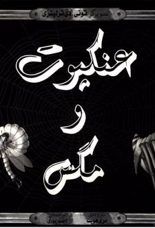 عنکبوت و مگس