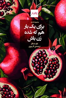 کتاب برای یکبار هم که شده زن باش