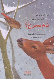 در این برف اینجا چه می کنی دم سرخ؟