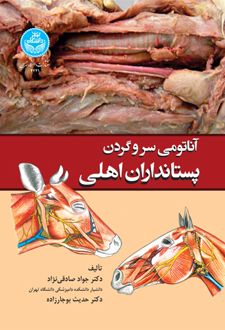 آناتومی سر و گردن پستانداران اهلی