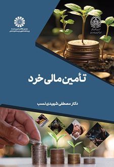 کتاب تامین مالی خرد