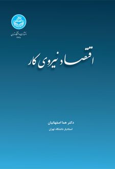 اقتصاد نیروی کار