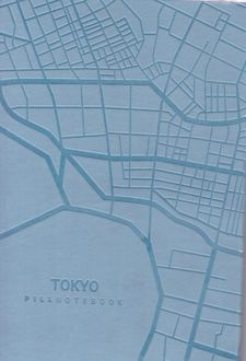 دفتر یادداشت 96 برگ رقعی ترمو سری سل 4560 (پیل - آبی آسمانی)