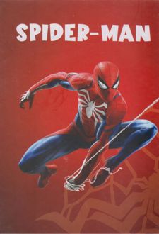 دفتر یادداشت 100 برگ رقعی جلدسخت سری هیرو (دموت) مردعنکبوتی