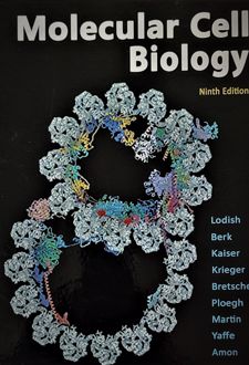 Molecular Cell Biology