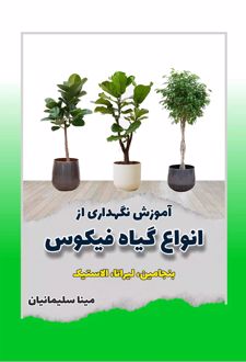 آموزش نگهداری از انواع گیاه فیکوس