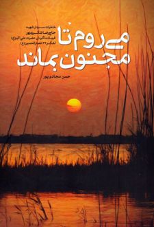 می روم تا مجنون بماند