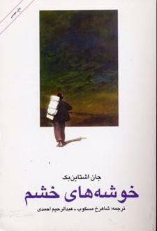 خوشه های خشم