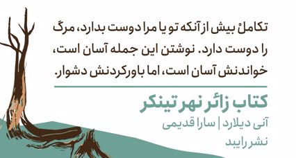 کتاب زائر نهر تینکر