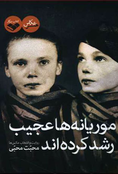 موریانه ها عجیب رشد کرده اند