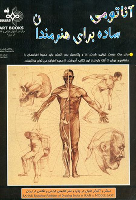 آناتومی ساده برای هنرمندان