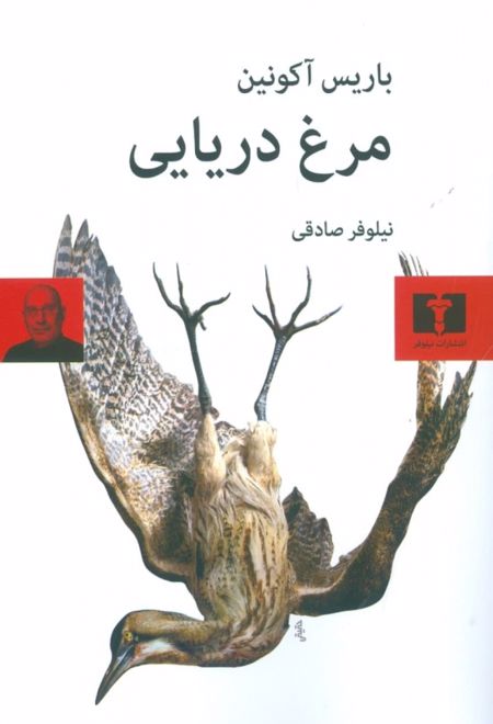 مرغ دریایی