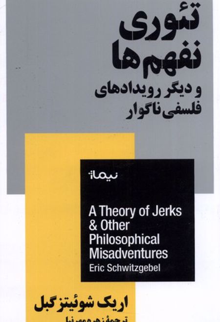 تئوری نفهم ها