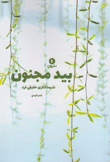 بید و مجنون