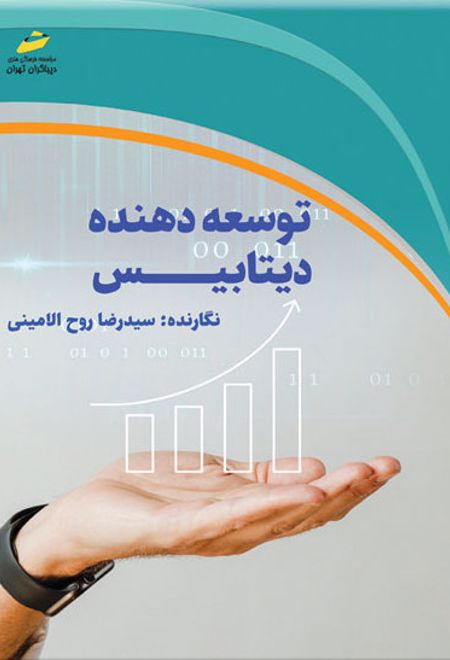 توسعه دهنده دیتابیس