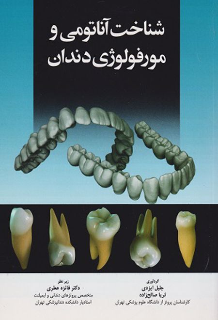 شناخت آناتومی و مورفولوژی دندان