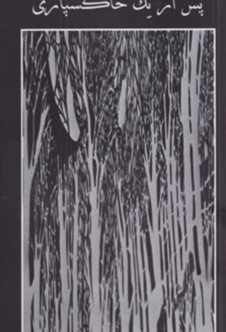 گفت و گوهای پس از یک خاکسپاری