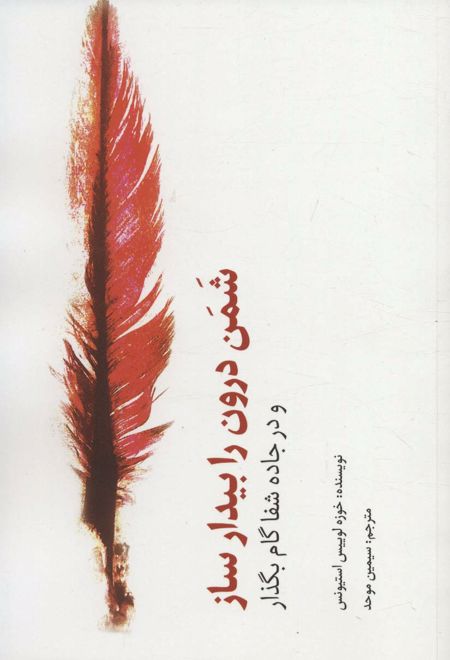 شمن درون را بیدار ساز