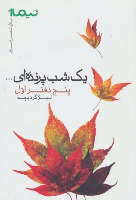 یک شب پرنده ای...