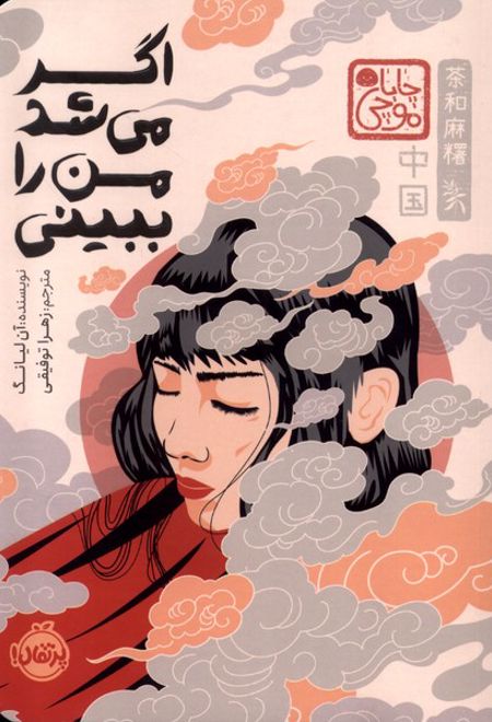 اگر می شد من را ببینی