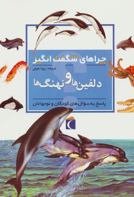 دلفین ها و نهنگ ها