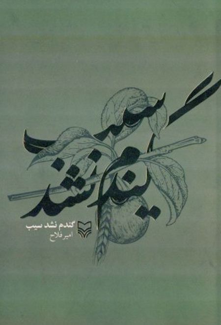 گندم نشد سیب