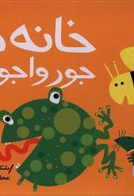 خانه ها جورواجورند