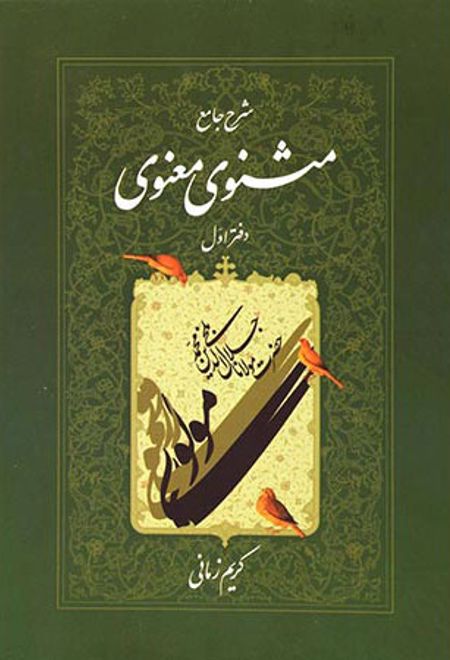 شرح جامع مثنوی معنوی (دفتر اول)