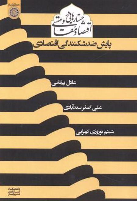 جستارهایی در اقتصاد مقاومتی