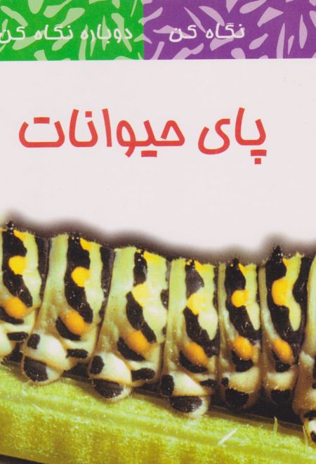 پای حیوانات