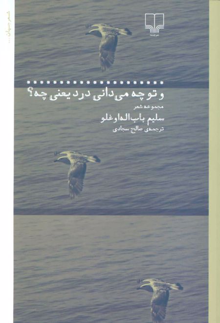 و تو چه می دانی درد یعنی چه؟