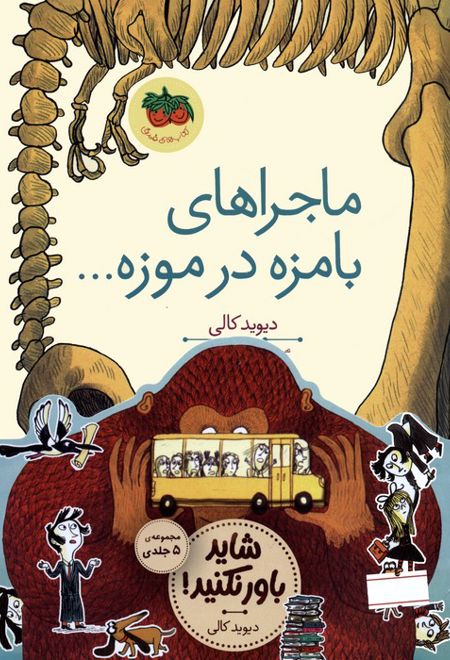 مجموعه قصه های تصویری شاید باور نکنید!(5جلدی)