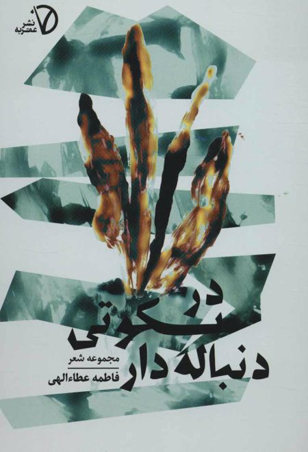 در سکوتی دنباله دار