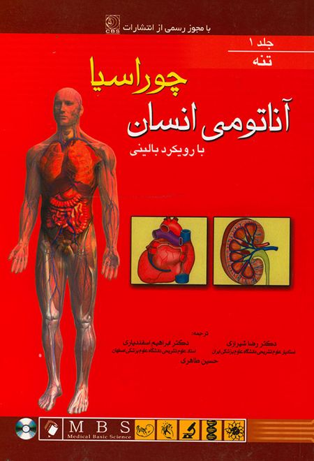 آناتومی انسان چوراسیا