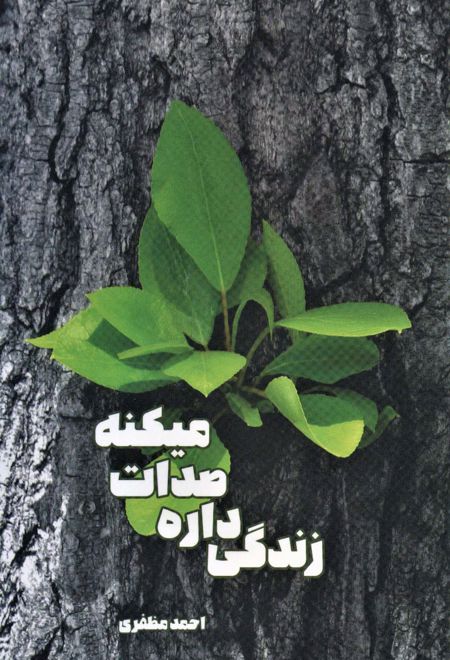 زندگی داره صدات میکنه