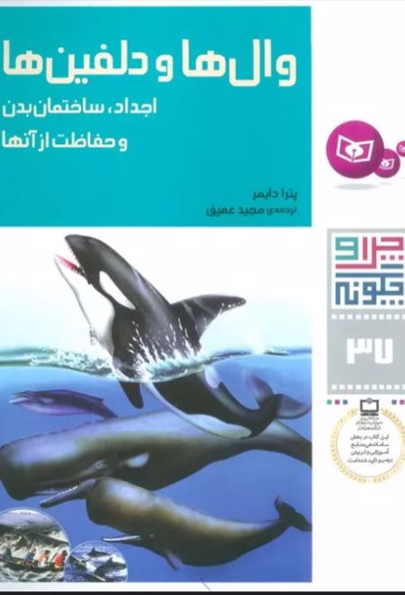 وال ها و دلفین ها