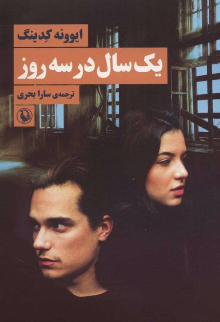 یک سال در سه روز