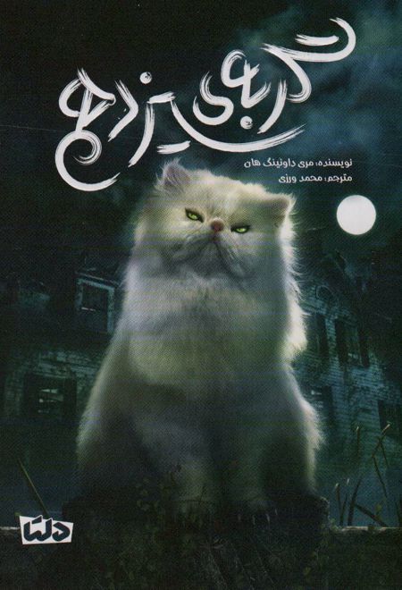 گربه ی سیزدهم